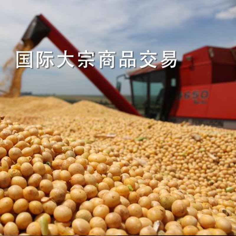 上海贸易公司的常见误区与避坑指南